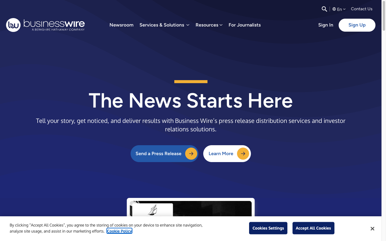 Business Wire interface